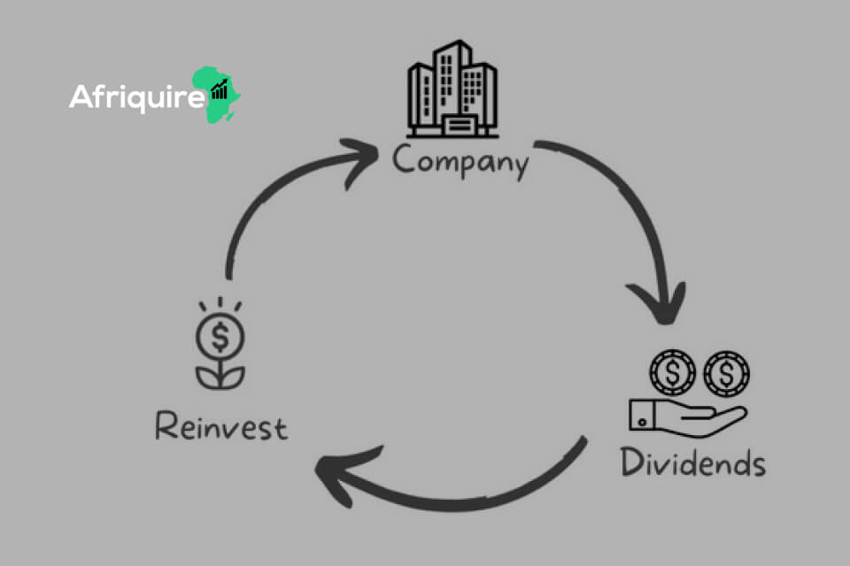 Dividend Reinvestment
