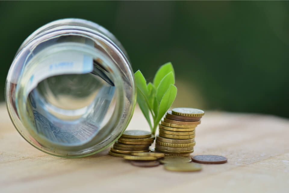 Dividend Reinvestment