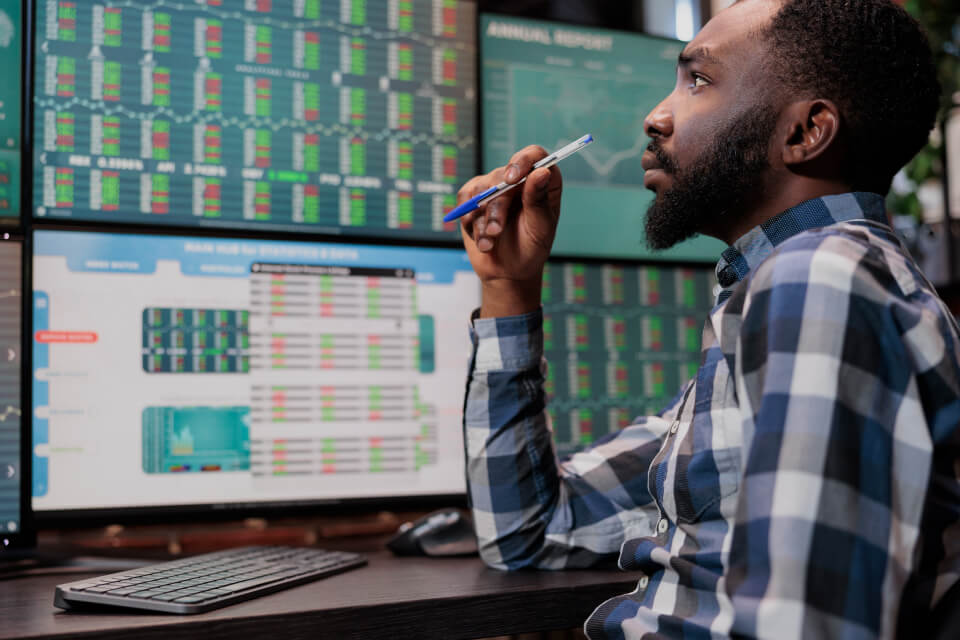 Dividend Reinvestment