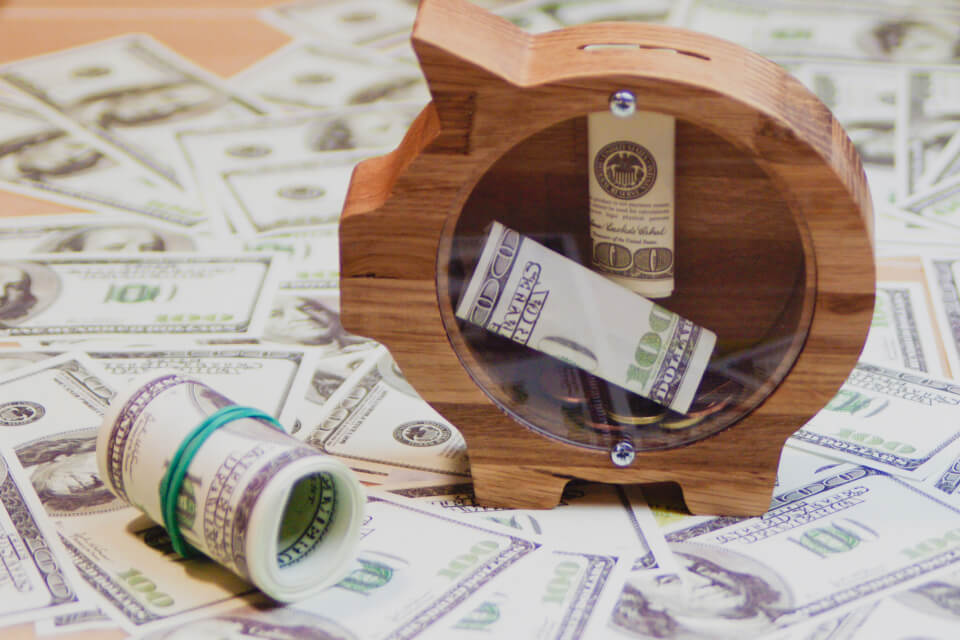 Dividend Reinvestment
