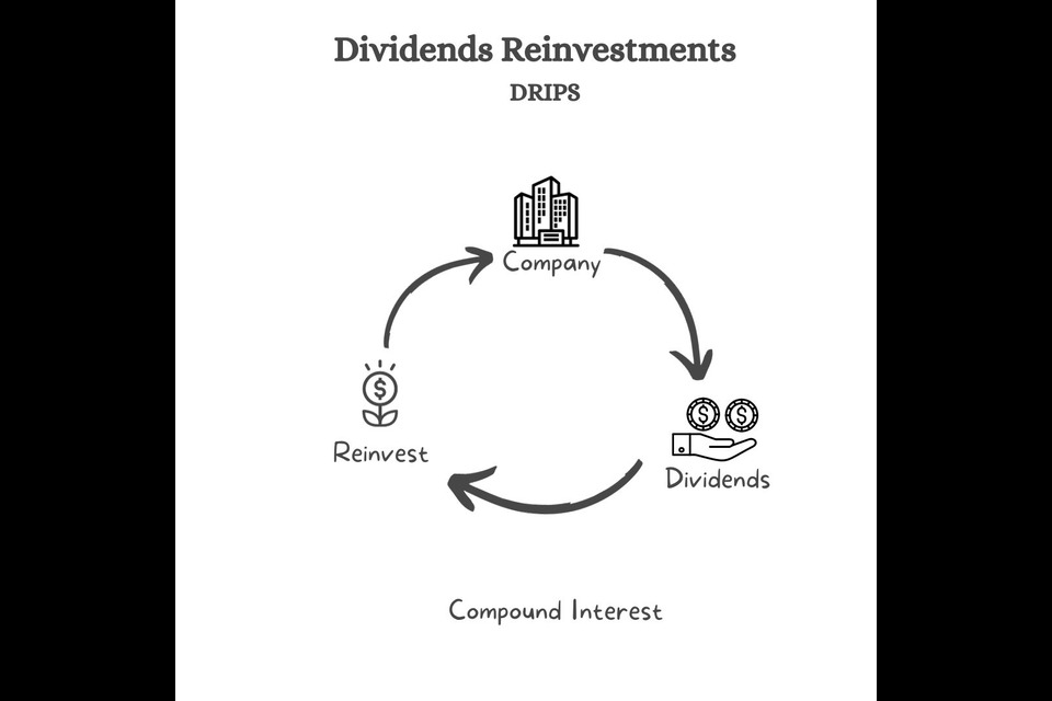 dividend reinvestment