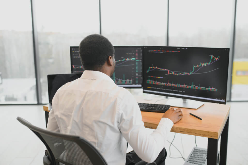 Large-Cap Stocks