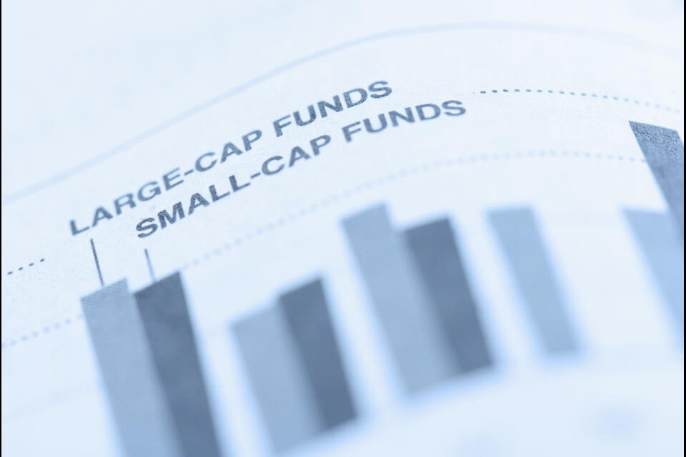 criteria for selecting the right large-cap stocks