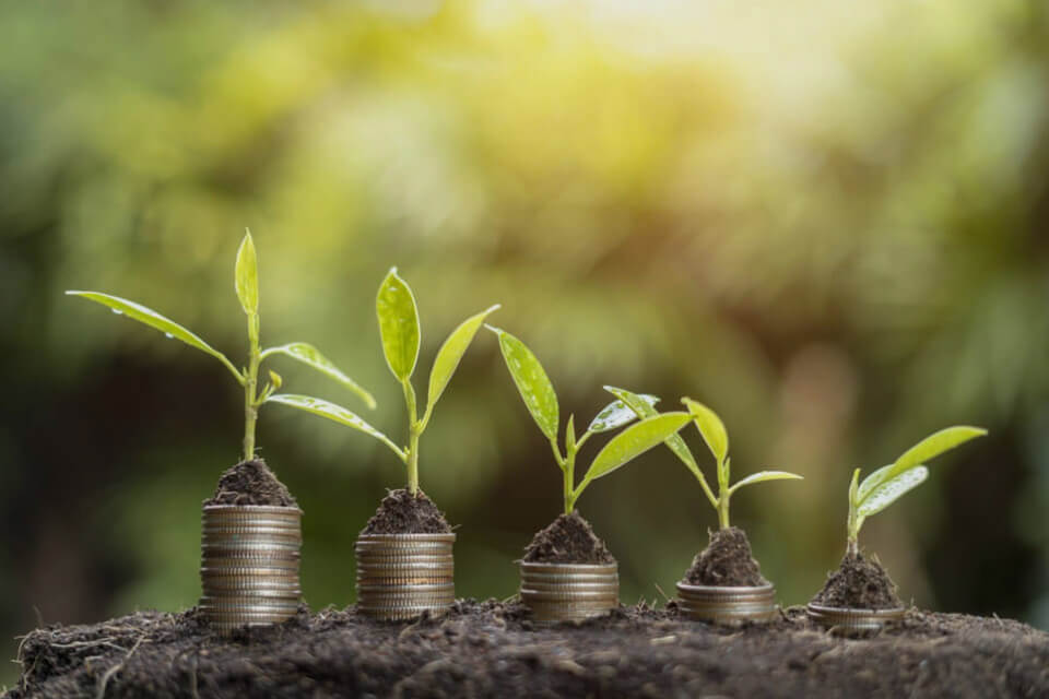 High-Performing Growth Stocks