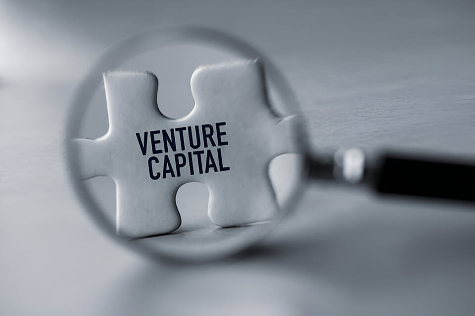 How Venture Capitalists Evaluate African Startups  