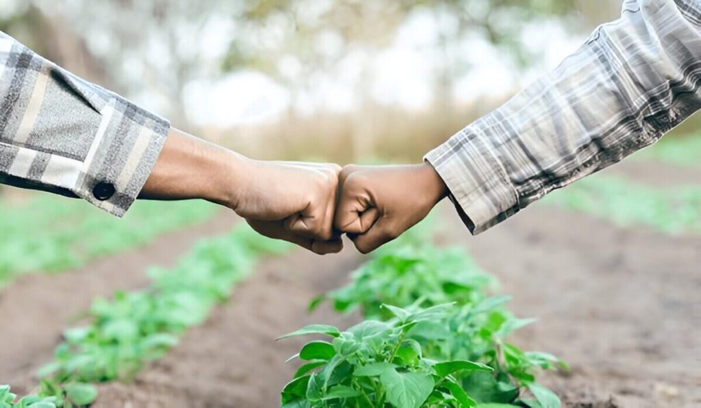 success stories of agripreneurship in Africa