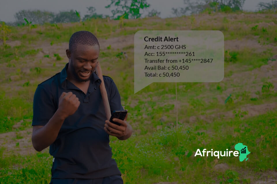 Impact of Digital Payments on African Agribusinesses