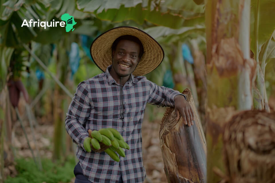 How to Access Markets for African Agripreneurs