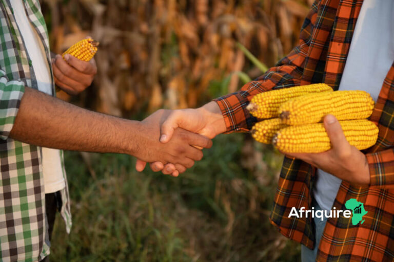 how to secure land for agripreneurship