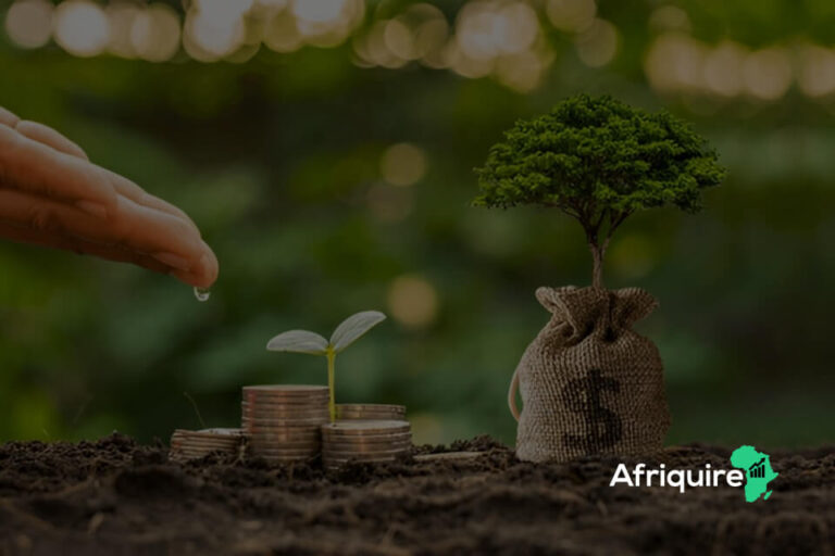 The Impact of Venture Capital on African Agripreneurs