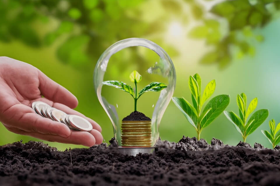 The Impact of Venture Capital on African Agripreneurs