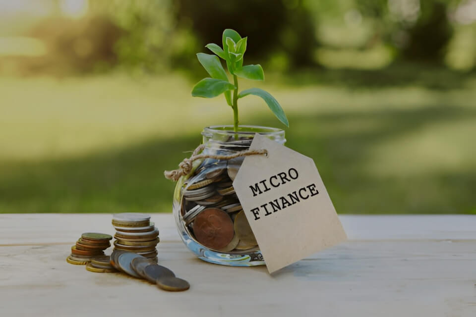 Successful Microfinance
