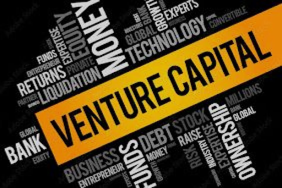 African Venture Capitalists