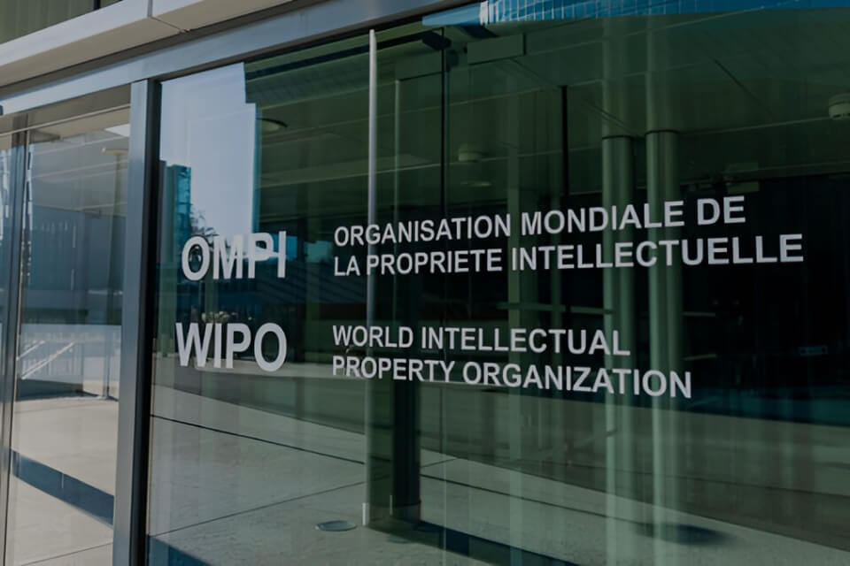 Intellectual Property